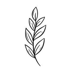 A black and white vector outline illustration of a branch with leaves captures the natural simplicity and elegance in every curve and line, creating a unique image of natural beauty.