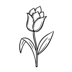 A black and white vector illustration of a flower with a leaf, rendered in a line art style, capturing the delicate details and simplicity of nature's beauty.
