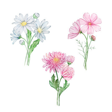 Watercolor bouquets of birth month flower