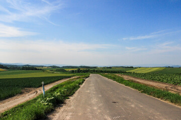 Fototapeta na wymiar 青空を背景にした農村の道路 