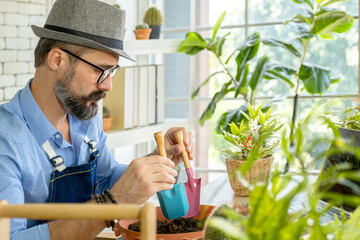 Hipster elderly men learn to take care of plants online with laptop, a hobby of urban home gardening after sustainable retirement