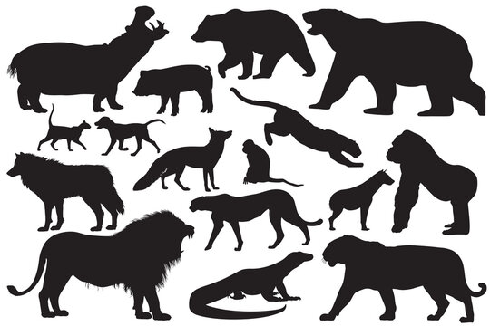 A group of silhouettes of animals wild hunter