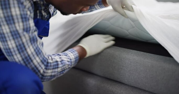 Bed Bug Infestation And Treatment Service