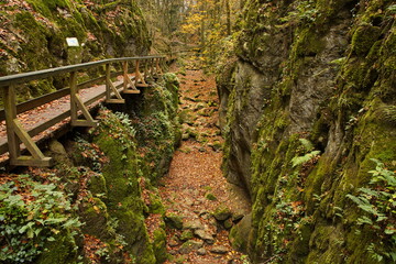 Hiking track in Johannesbachklamm between Würflach und Greith, Lower Austria, Austria, Europe,...