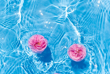 水面に浮かぶバラの花