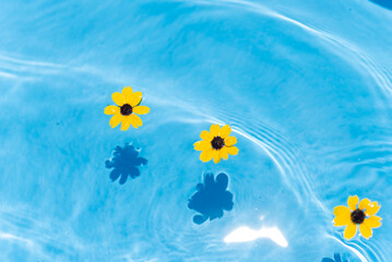 水に浮かぶ黄色い花