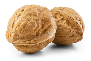 Walnut isolated. Two unpeeled walnuts on white background. Walnut nut with shell. Side view. With clipping path. Full depth of field.