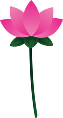 Lotus Flower pattern vector
