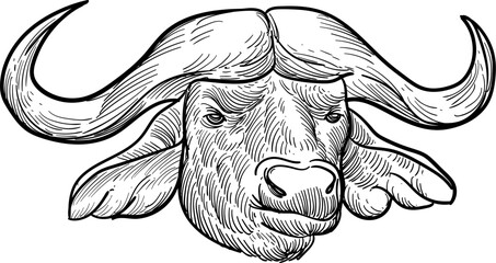 Vintage hand drawn sketch buffalo Nepal head © Cus