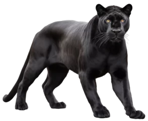 Foto op Plexiglas Wild standing black panther isolated on a white or transparent background, generative AI animal © Flowal93