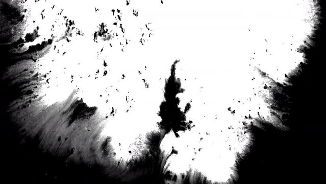 Black ink artistic flow splatter spots spills white paper beautiful reveal dripping streaks spread fluid alpha matte isolated watercolor drops transition stream stain leak scatter over screen