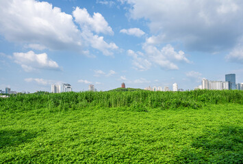 Fototapeta na wymiar Ecological scenery of urban green space in Zhuzhou, China