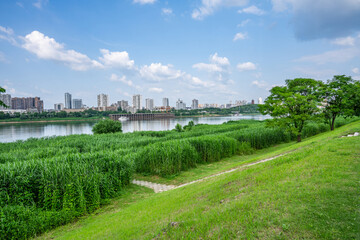 Ecological Landscape of Urban Green Space in Xiangjiang Scenic Belt, Zhuzhou, China