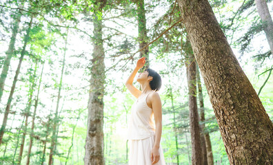 新緑の美しい森で森林浴をしている日本人女性