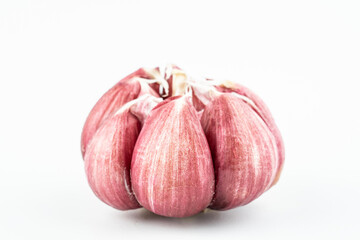 Fresh red skin garlic head on white background
