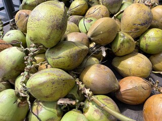 Background image of young and fresh green coconut under the sunlight