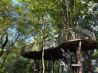 Bottom view of wooden lookout platform with metal handrail on a tall tree in the park.