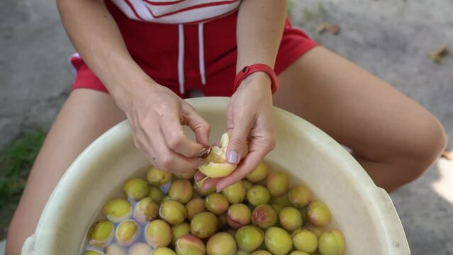Girl farmer hands peeling ripe fresh apricots over bowl. Woman chef peels the skin off and removes the pit, preparing for making jam at summer gardening, recipe instruction cooking. Fruits harvest. HD