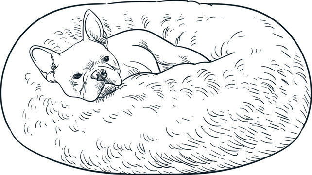Vintage hand drawn sketch french bulldog sleep on fur bean bag