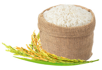 Jasmine rice in burlap sack bag with paddy rice isolated. Png transparency