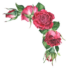 Semicircular arrangement of pink roses and leaves. Watercolor botanical illustration. Wreath of red flowers. Isolated hand drawn clip art sticker with flowering plants on a white background