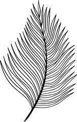 palm line art, design, illustration, vector, palm, line, art, graphic, nature, summer, drawing, background, tropical, leaf, abstract, modern, plant, exotic, print, isolated, outline, poster, tree