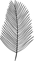 palm line art, design, illustration, vector, palm, line, art, graphic, nature, summer, drawing, background, tropical, leaf, abstract, modern, plant, exotic, print, isolated, outline, poster, tree