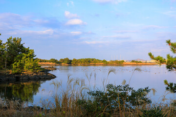대한민국 제주도에 있는 철새 도래지의 아름다운 풍경이다