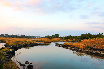 Fototapeta na wymiar 대한민국 제주도에 있는 철새 도래지의 아름다운 풍경이다