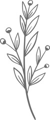 Eucalyptus line art, leaf, plant, eucalyptus, botanical, illustration, nature, design, floral, art, branch, background, foliage, set, vintage, flower, line, summer, decoration, spring, drawing, vector