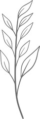 Eucalyptus line art, leaf, plant, eucalyptus, botanical, illustration, nature, design, floral, art, branch, background, foliage, set, vintage, flower, line, summer, decoration, spring, drawing, vector