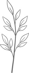 Eucalyptus line art, leaf, plant, eucalyptus, botanical, illustration, nature, design, floral, art, branch, background, foliage, set, vintage, flower, line, summer, decoration, spring, drawing, vector