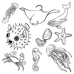 Line art Sea fish event hand drawn on transparent background