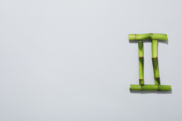 Concept of plant - bamboo on light gray background