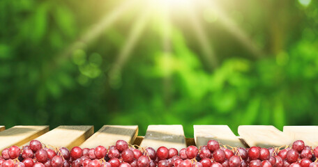 Beautiful wooden tabletop isolated background, green natural tree or grape farm orchard surround for agricultural products.