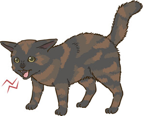 怒る猫（サビ）