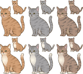 色々な毛色の猫（トラ柄）