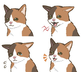 猫の喜怒哀楽セット（三毛猫）