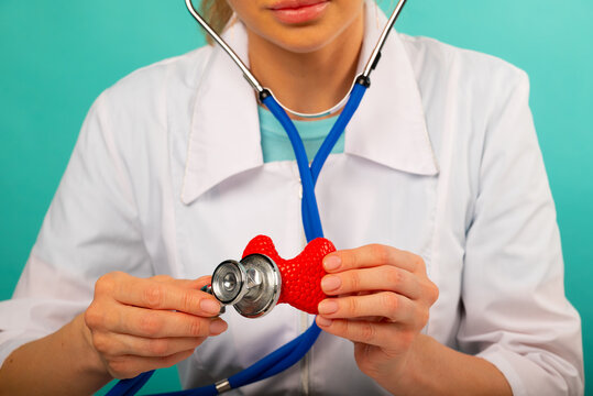 Doctor holding anatomical thyroid model and stethoscope in his office