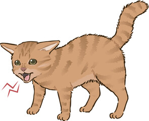 怒る猫（茶トラ、短毛）