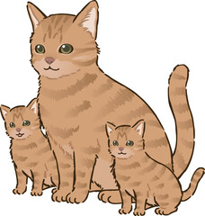 猫の親子（茶トラ、短毛）