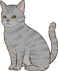 お座りする猫（サバトラ、短毛）