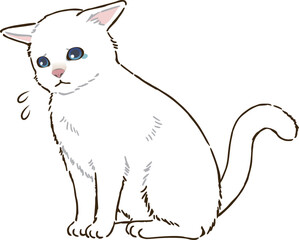 悲しむ白猫（短毛）
