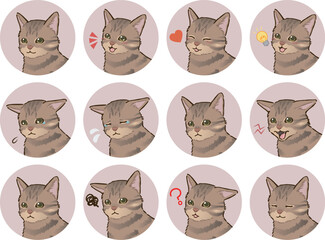 猫の表情アイコンセット（キジトラ、短毛）