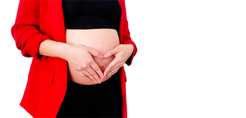Close Up pregnant woman in red suit forming heart-shape with her hands over her stomach isolated on transparent background. Pregnancy 7-9 months, expectation, love, care baby. png transparency.