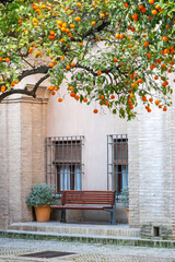 Fototapeta na wymiar house with orange trees Sevilla Spain