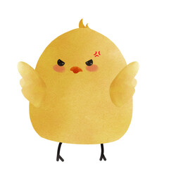 angry baby chick