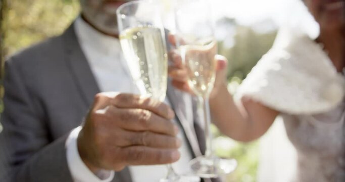 Happy senior biracial couple drinking champagne at wedding in garden, slow motion