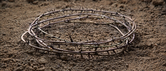 Thorn wreath with crown shadow