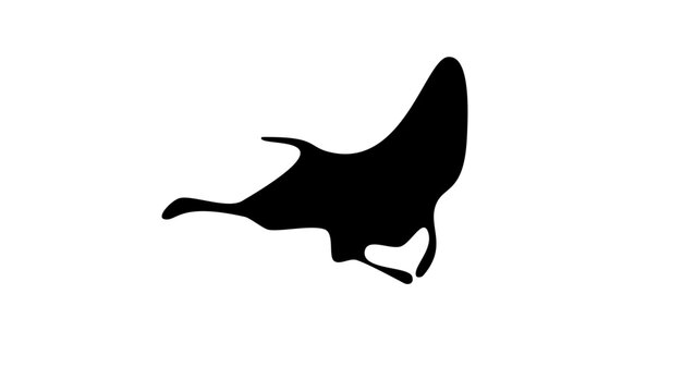 oceanic manta ray silhouette